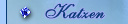 Katzen